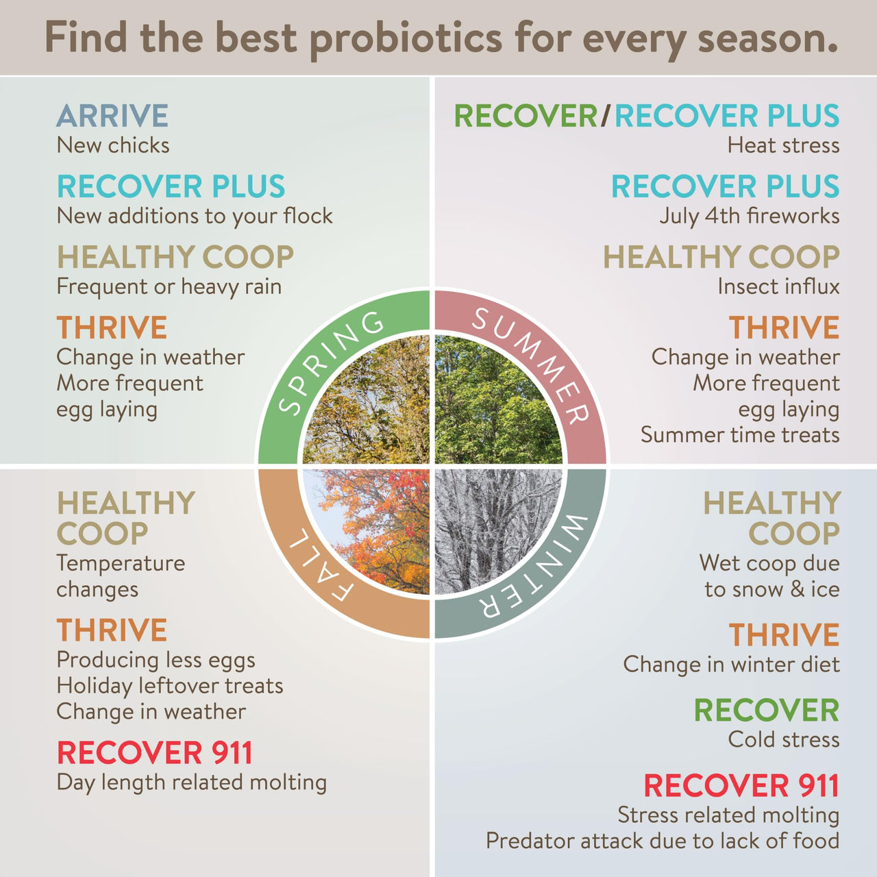FlockLeader Recover 911, Severe Stress Probiotic Water Supplement for Chickens with Electrolytes, Prebiotics & Oregano, 8 oz