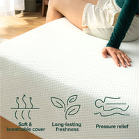 ZINUS 6 Inch Green Tea Memory Foam Mattress [New Version], Queen, Fiberglass free, Medium Firm Feel, Zoned Pressure Relief, Certified Safe Foams & Fabric, Mattress in A Box 6
