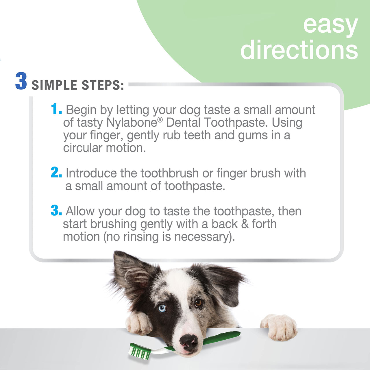 Nylabone Advanced Oral Care Natural Dog Dental Kit Peanut Flavor 2.5 oz. Peanut Butter 1 Count (Pack of 1)