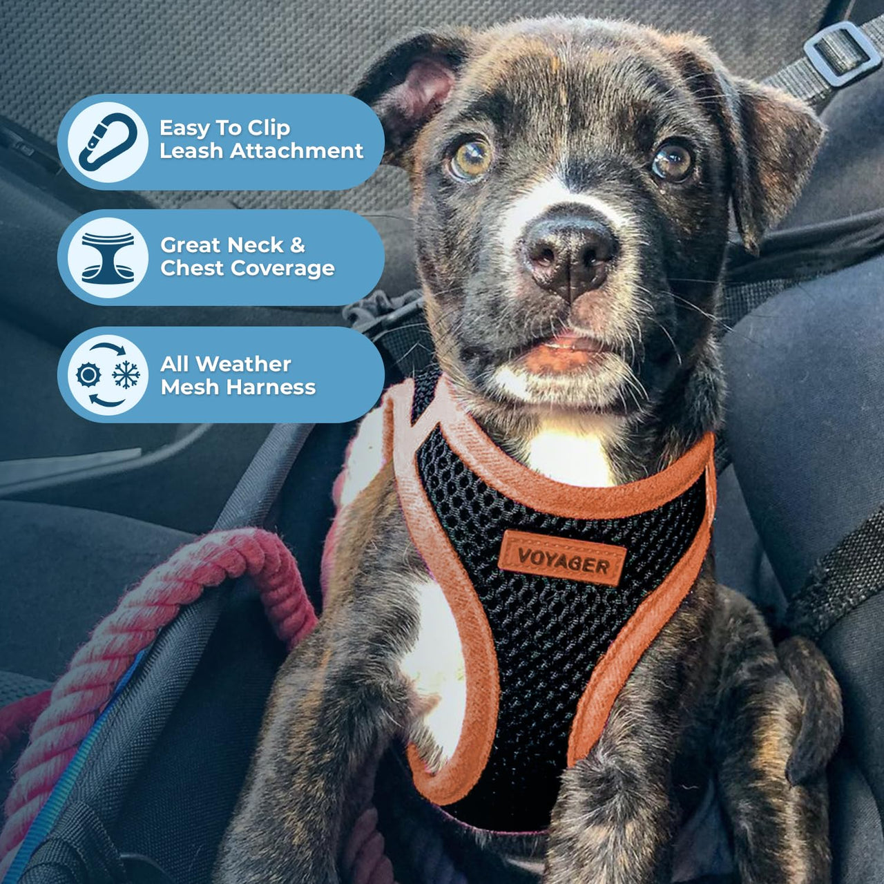 Voyager Step-in Air Dog Harness - All Weather Mesh Step in Vest Harness for Small and Medium Dogs by Best Pet Supplies - Orange Trim, XL Harness (Black/Orange Trim) XL (Chest: 20.5 - 23")