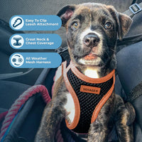 Voyager Step-in Air Dog Harness - All Weather Mesh Step in Vest Harness for Small and Medium Dogs by Best Pet Supplies - Orange Trim, XL Harness (Black/Orange Trim) XL (Chest: 20.5 - 23
