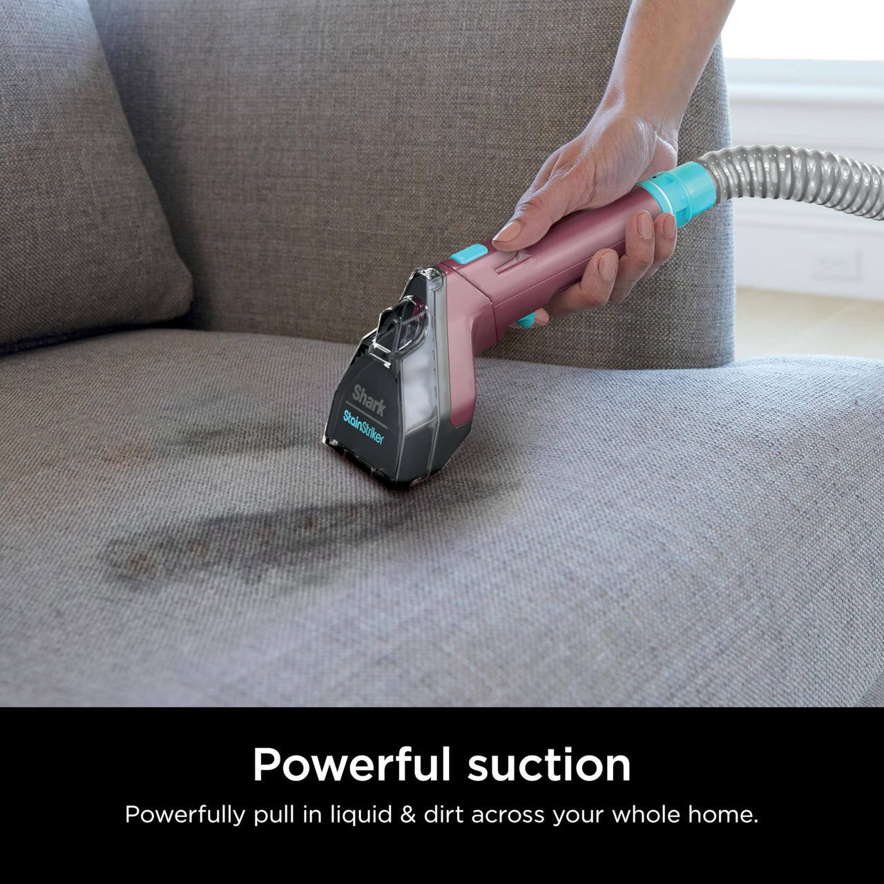 Shark StainStriker HairPro. Portable Carpet, Area Rug & Upholstery Spot & Stain Cleaner, Hair & Odor Eliminator for Carpets, Area Rugs, Upholstery & Cars. Perfect for Pets, Copper, PX251 Shark StainStriker w/ HairPro Technology