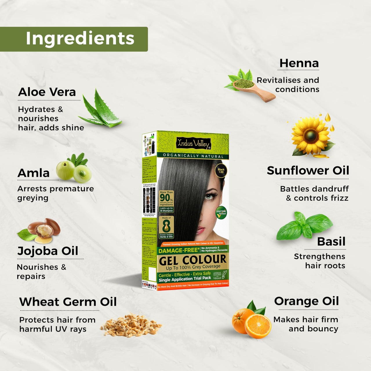 INDUS VALLEY Hair Color Trial Pack | Black With Colour Protection Shampoo (200 ml) + Hair Ultima Spa (175 ml)
