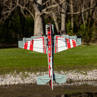 E-flite RC Airplane Eratix 3D FF Flat Foamy 860mm PNP EFL01975