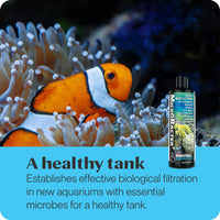 Brightwell Aquatics MicroBacter7 - Bacteria & Water Conditioner for Fish Tank or Aquarium, Populates Biological Filter Media for Saltwater and Freshwater Fish, 500ml