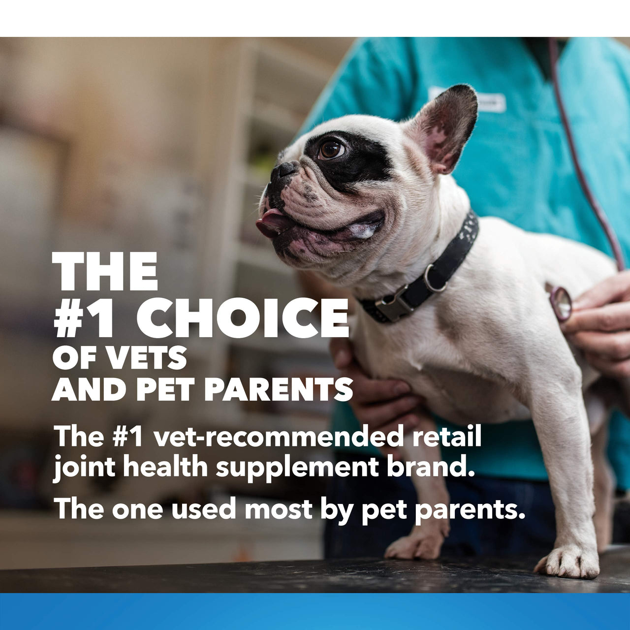 Cosequin Joint Health Supplement for Dogs - With Glucosamine, Chondroitin, MSM, and Omega-3's , 120 Soft Chews