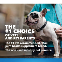 Cosequin Joint Health Supplement for Dogs - With Glucosamine, Chondroitin, MSM, and Omega-3's , 120 Soft Chews