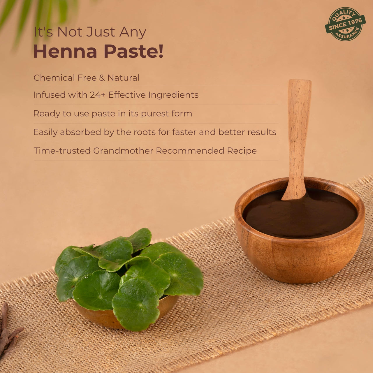 Indus Valley Bio Organic Herbal Henna Paste, 150g Pack of 2 with Applicator Brush
