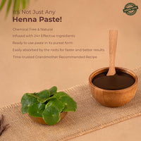 Indus Valley Bio Organic Herbal Henna Paste, 150g Pack of 2 with Applicator Brush