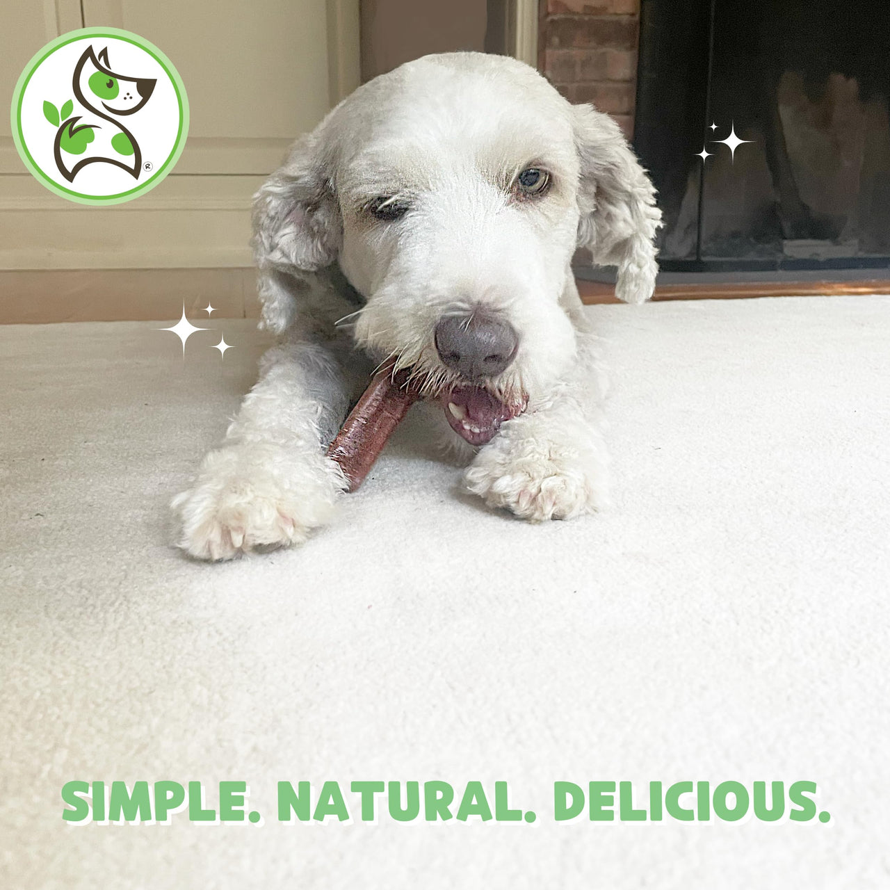 Nature Gnaws Cheese Bar Chews for Dogs – Natural Lasting Hard Chew Treats - Rawhide Free Dog Bones - Yak Alternative 4 Count Chicken & Apple