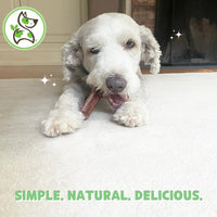 Nature Gnaws Cheese Bar Chews for Dogs – Natural Lasting Hard Chew Treats - Rawhide Free Dog Bones - Yak Alternative 4 Count Chicken & Apple