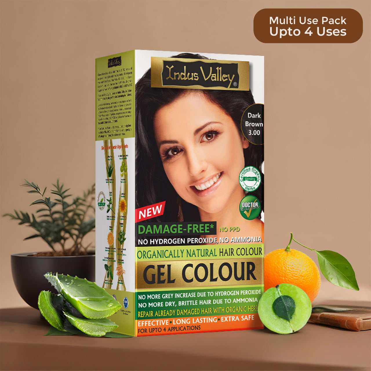 INDUS VALLEY Organically Natural Damage Free Colour Gel Dark Brown Hair Colour 3.0 Ammonia Free with Deep Nourishing Hair Eaze Spa - (20g +200ml + 175ml)