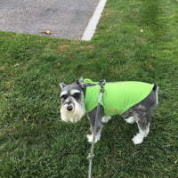 Gooby Zip Up Fleece Dog Sweater - Lime, X-Small - Warm Pullover Fleece Step-in Dog Jacket with Dual D Ring Leash - Winter Small Dog Sweater - Dog Clothes for Small Dogs Boy and Medium Dogs X-Small chest (~11
