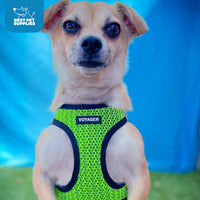 Voyager Step-in Air Dog Harness - All Weather Mesh Step in Vest Harness for Small and Medium Dogs and Cats by Best Pet Supplies - Harness (Lime Green 2-Tone), S (Chest: 14.5-16