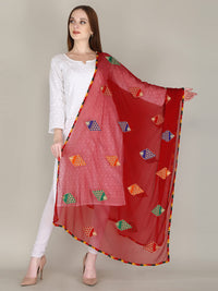 DIAMO Embroidered Chiffon Women's  Dupatta