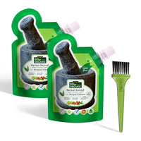 Indus Valley Bio Organic Herbal Henna Paste, 150g Pack of 2 with Applicator Brush