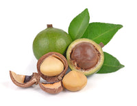 Berries And Nuts Premium Jumbo Macadamia Nuts | Macadamia Nut Kernels | 1 Kg