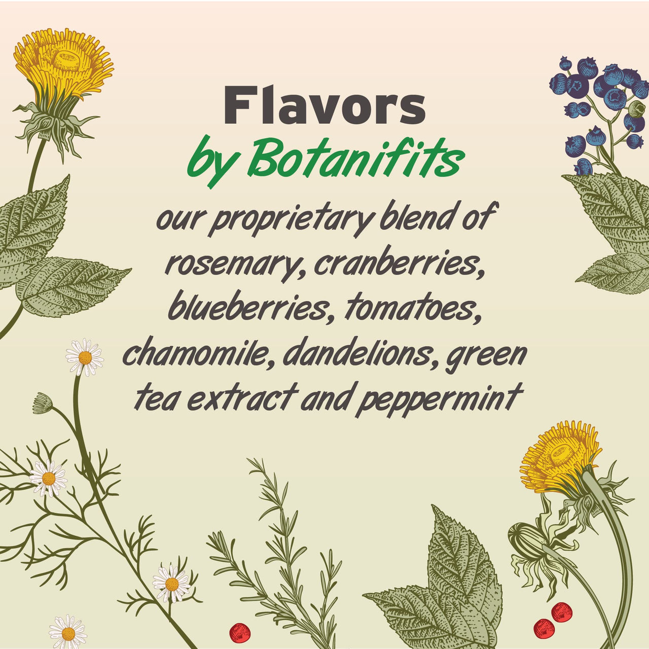 Pet Botanics 12 oz. Pouch Training Rewards Jerky Bites, Chicken Recipe, with 225 Treats Per Bag, The Choice of Top Trainers