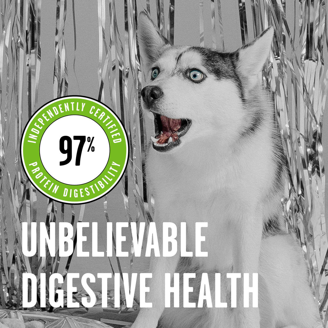 BIXBI Rawbble Freeze Dried Dog Food, Pork Recipe, 12 oz - 97% Meat and Organs, No Fillers - Pantry-Friendly Raw Dog Food for Meal, Treat or Food Topper - USA Made in Small Batches 12 Ounce (Pack of 1)