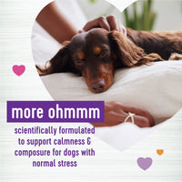 Wellness Tasty Cheese Flavored Soft Chews Calming Supplements for Dogs, 90 Count