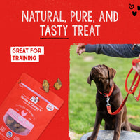 Stella & Chewy's  Freeze-Dried Raw Single Ingredient Chicken Hearts Dog Treats, 3 oz. Bag 3 Ounce (Pack of 1)