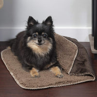 Furhaven Waterproof & Self-Warming Throw Blanket for Dogs & Indoor Cats, Washable & Reflects Body Heat - Terry & Sherpa Dog Blanket - Espresso, Small Blanket - Terry & Sherpa (Espresso) 30.0