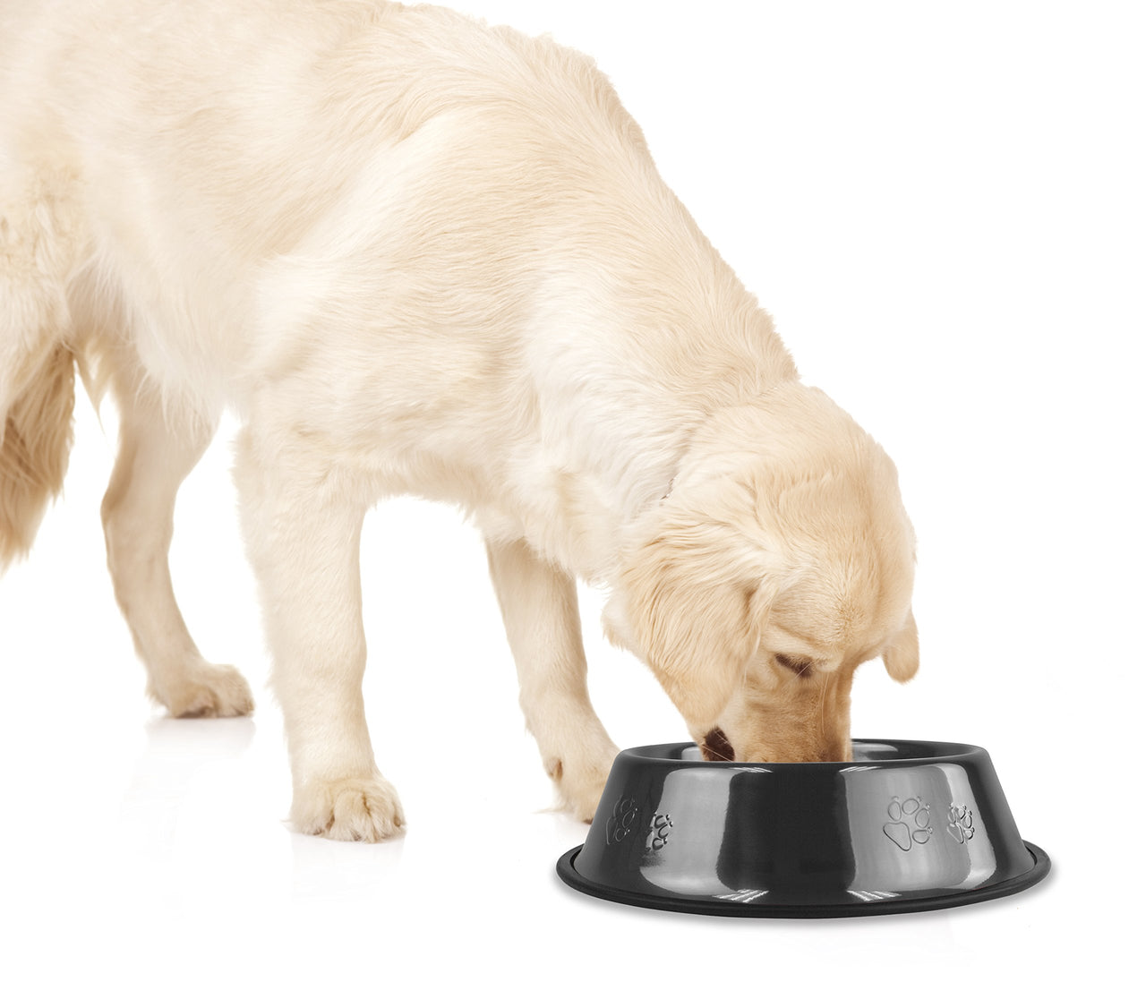 Platinum Pets Embossed Non-Tip Stainless Steel Cat/Dog Bowl, Large, Black Chrome