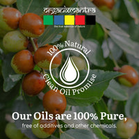Organix Mantra Jojoba Body Oil for Hair Growth, Moisturizing Skin, Makeup Primer & Nails | 100% Pure, Natural & Cold Pressed Oil, 30ML
