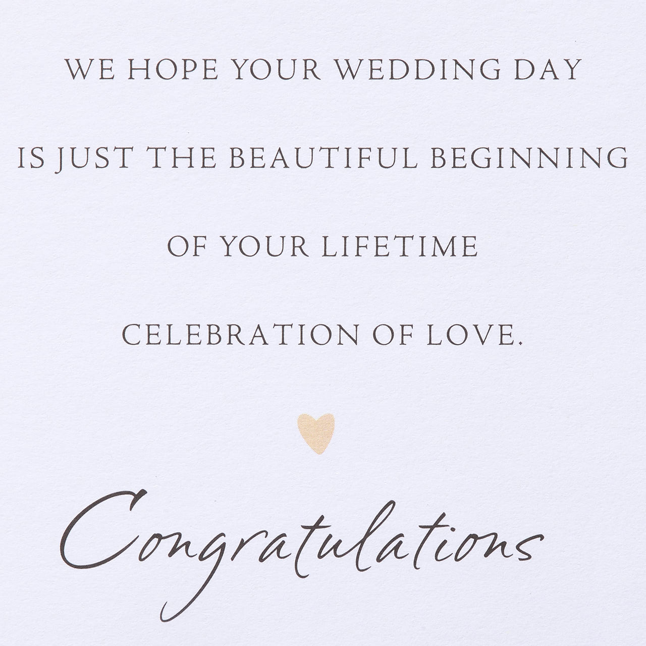 American Greetings Wedding Card (Beautiful Beginning) Beautiful Beginning