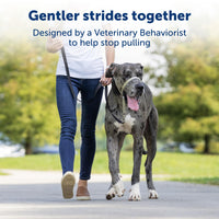PetSafe Gentle Leader No-Pull Dog Headcollar - The Ultimate Solution to Pulling - Redirects Your Dog's  Pulling For Easier Walks - Helps You Regain Control - X-Large, Black