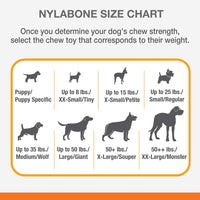 Nylabone Flavor Frenzy Power Chew Dog Toy Philly Cheesesteak Medium/Wolf (1 Count) Medium up to 35 lbs.