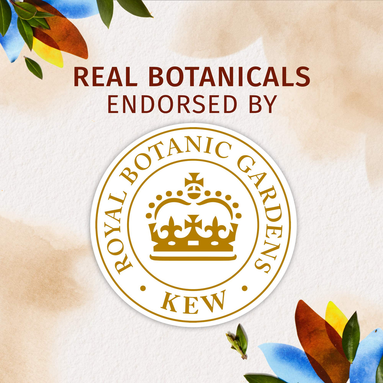 Herbal Essences bio:renew White Strawberry & Sweet Mint Shampoo, 400ml & Herbal Essences bio:renew Coconut Milk Shampoo, 400ml Combo