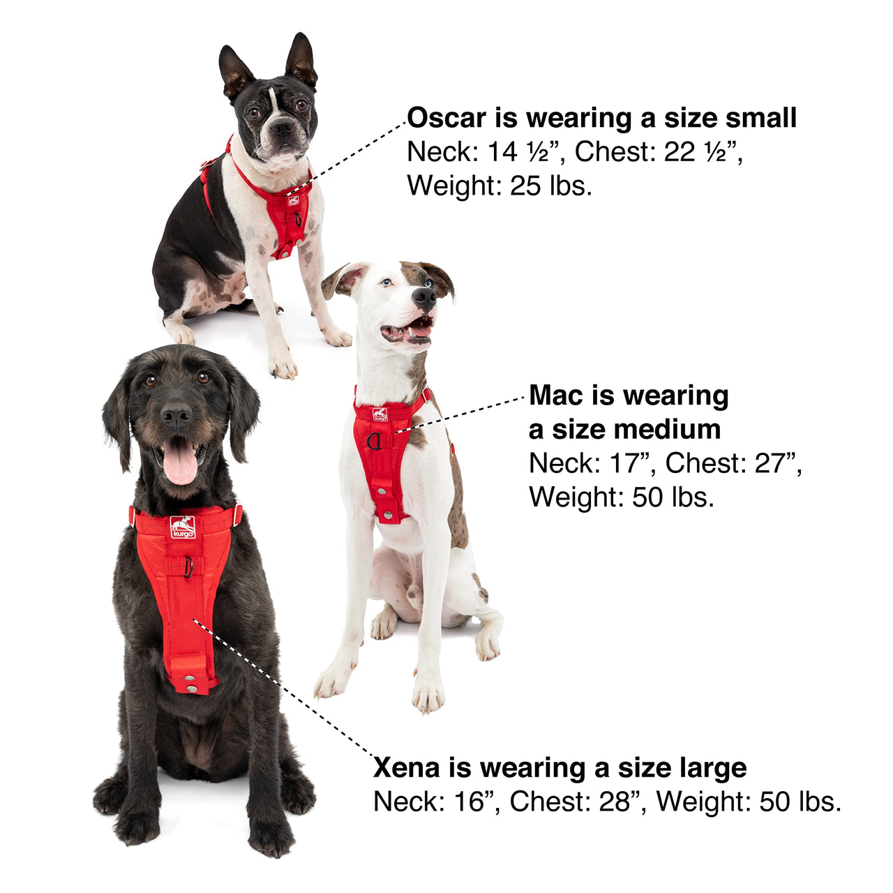 Kurgo Dog Harness | Car Harness for Dogs | Medium | Black | Pet Safety Seat Belt | Certified Crash Tested Harness | Car Seatbelt | Tru-Fit Enhanced Strength Style
