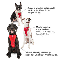 Kurgo Dog Harness | Car Harness for Dogs | Medium | Black | Pet Safety Seat Belt | Certified Crash Tested Harness | Car Seatbelt | Tru-Fit Enhanced Strength Style