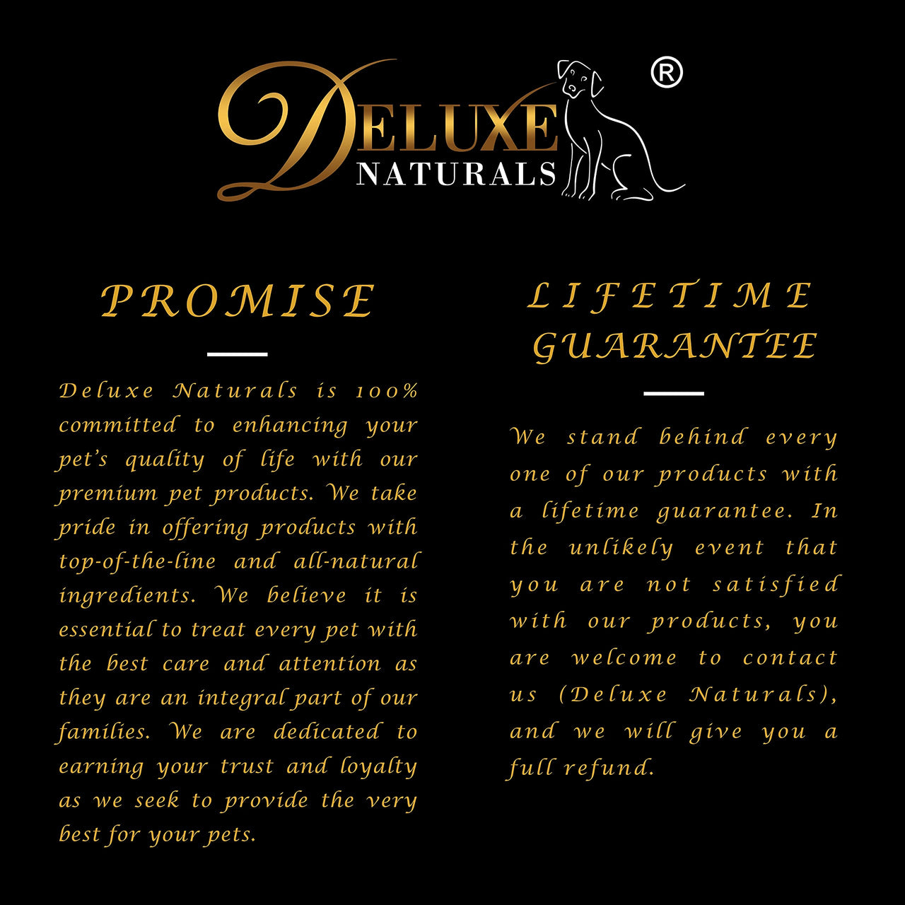 Elk Antler Chews for Dogs | Naturally Shed USA Collected Elk Antlers | All Natural A-Grade Premium Elk Antler Dog Chews | Product of USA, 3-Pack Medium Split 3 Count (Pack of 1)