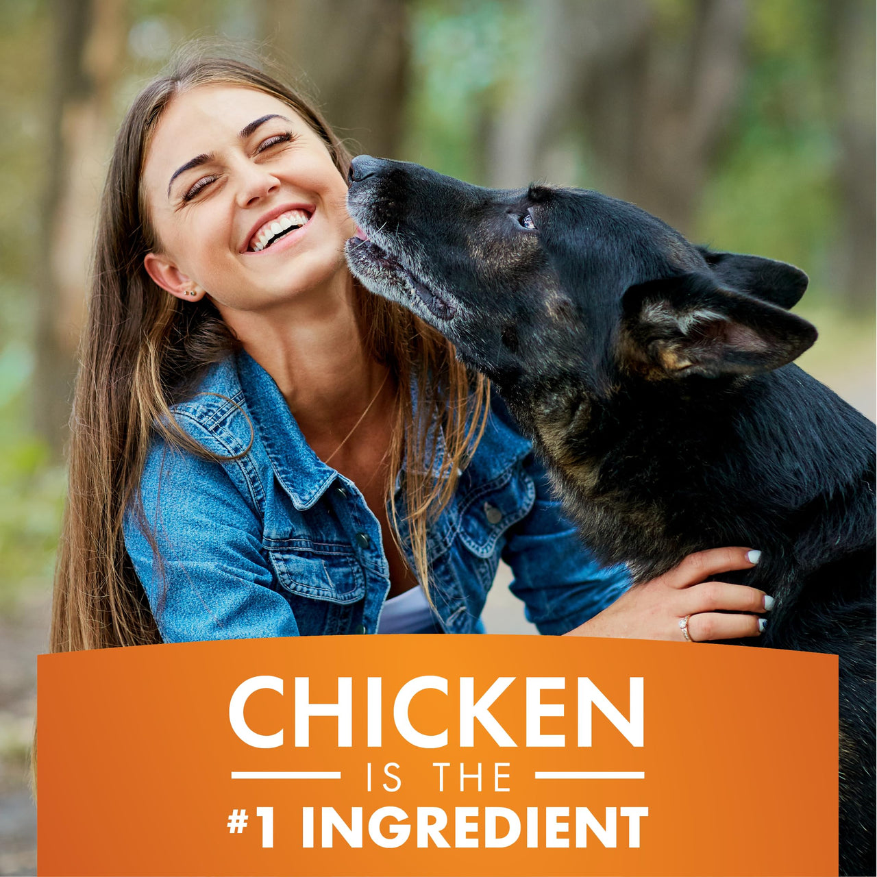 Dog Treats, K9 Kabobs for Dogs Made with Real Chicken, Duck, and Sweet Potato, 12 Ounces, Healthy, Easily Digestible, Long-Lasting, High Protein Dog Treat, Satisfies Dog's  Urge to Chew Chicken / Duck / Sweet Potato Kabob