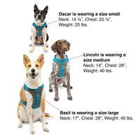 Kurgo Dog Harness for Medium, & Small Active Dogs, Pet Hiking Harness for Running & Walking, Everyday Harnesses for Pets, Reflective, Journey Air, Red/Grey 2018, Large