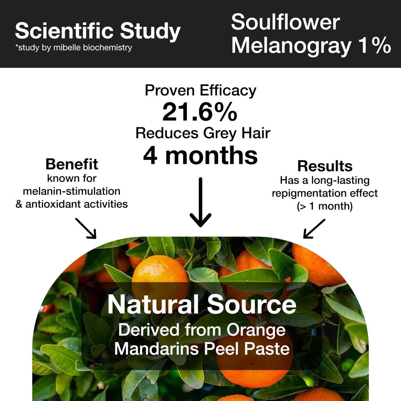 Soulflower Rosemary Essential Oil 15ml & Rosemary Redensyl Hair Growth Serum 30ml with 4% Anagain, 1% Melanogray, Caffeine, Biotin for Hair Growth, Hairfall Control & Healthy Scalp | Pack of 2