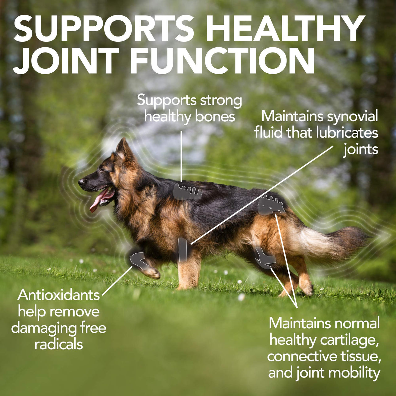 Vet's  Best Advanced Hip & Joint Dog Supplements, 90 Chewable Tablets 90 Tablets