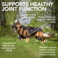 Vet's  Best Advanced Hip & Joint Dog Supplements, 90 Chewable Tablets 90 Tablets