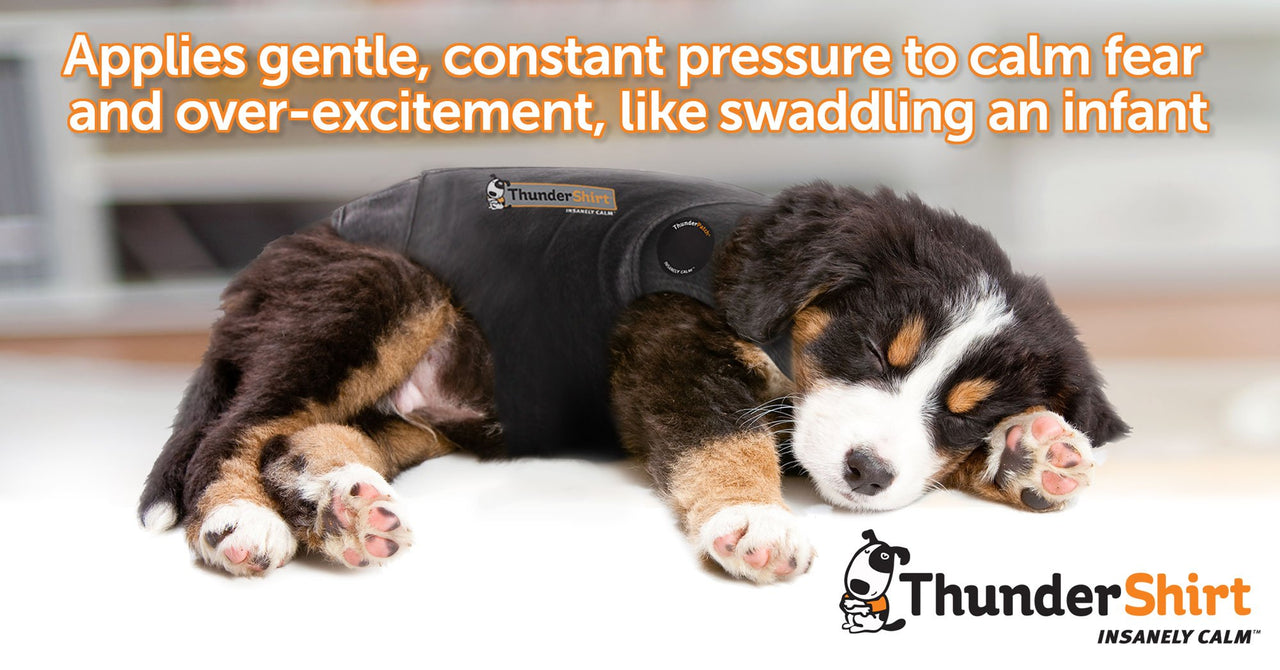 ThunderShirt for Dogs, Medium, Pink Polo - Dog Anxiety Vest Medium (26-40 lbs)