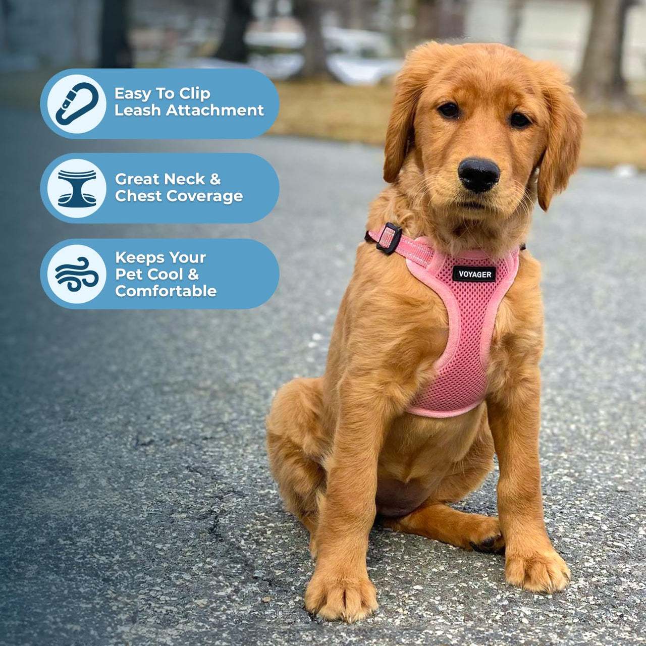 Best Pet Supplies Voyager Adjustable Dog Harness with Reflective Stripes for Walking, Jogging, Heavy-Duty Full Body No Pull Vest with Leash D-Ring, Breathable All-Weather - Harness (Pink), S