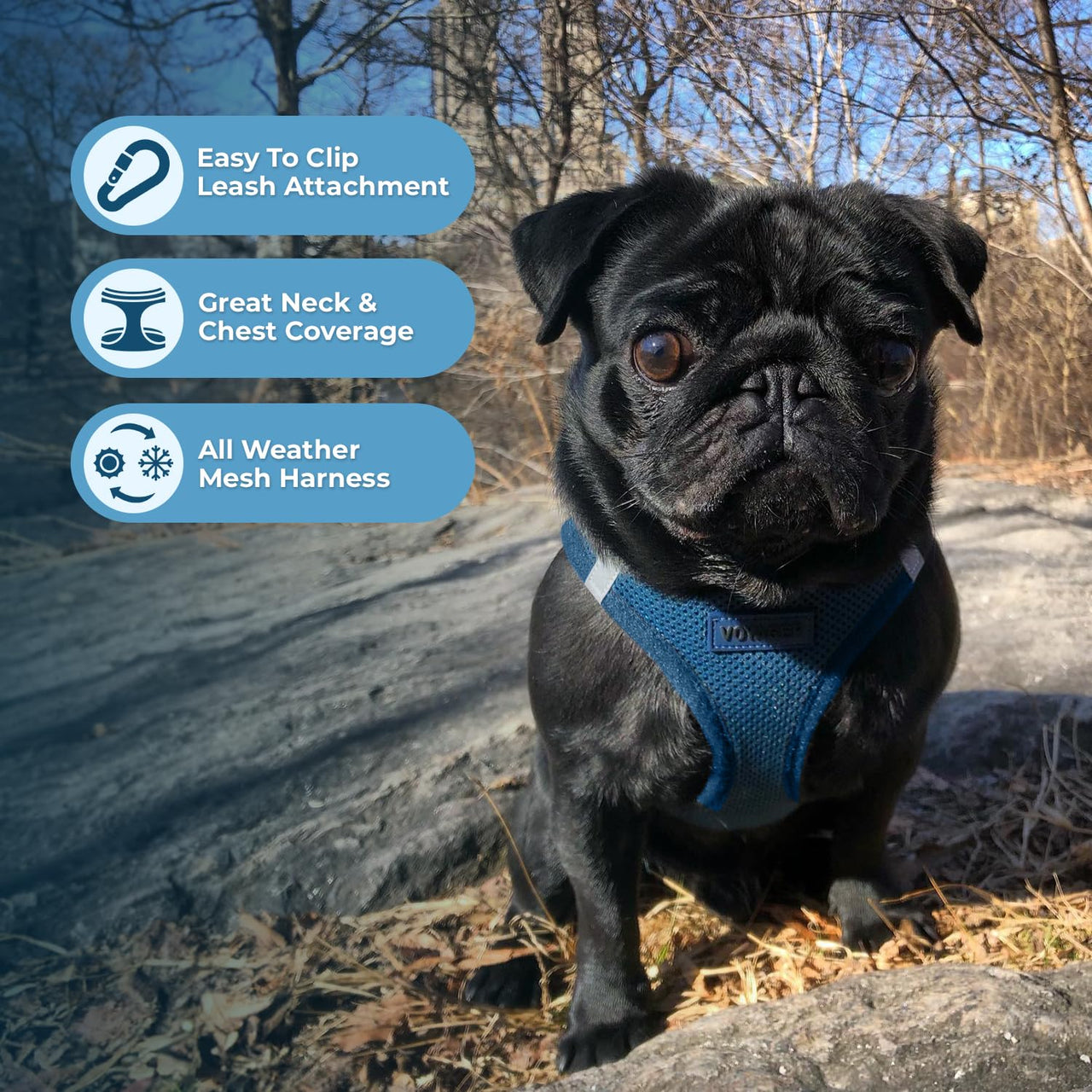 Voyager Step-in Air Dog Harness - All Weather Mesh Step in Vest Harness for Small and Medium Dogs and Cats by Best Pet Supplies - Harness (Blue), XX-Small Harness (Blue) XXS (Chest: 11.5 - 13" * Fit Cats)
