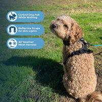 Dog Harness Dual Leash Attachment No-Pull Control Adjustable Soft but Strong Pet Harness for Medium and Large Dogs with 3M Reflective Technology - Black, XS (Chest: 13 - 16