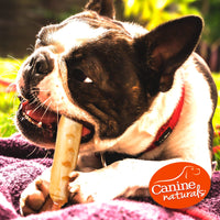 Canine Naturals Chicken Recipe Chew - Rawhide Free Dog Treats - Made from USA Raised Chicken - All-Natural and Easily Digestible - 2 Pack of 7 Inch Large Rolls for Dogs 50-75Lb 3.8 Ounce (Pack of 2)
