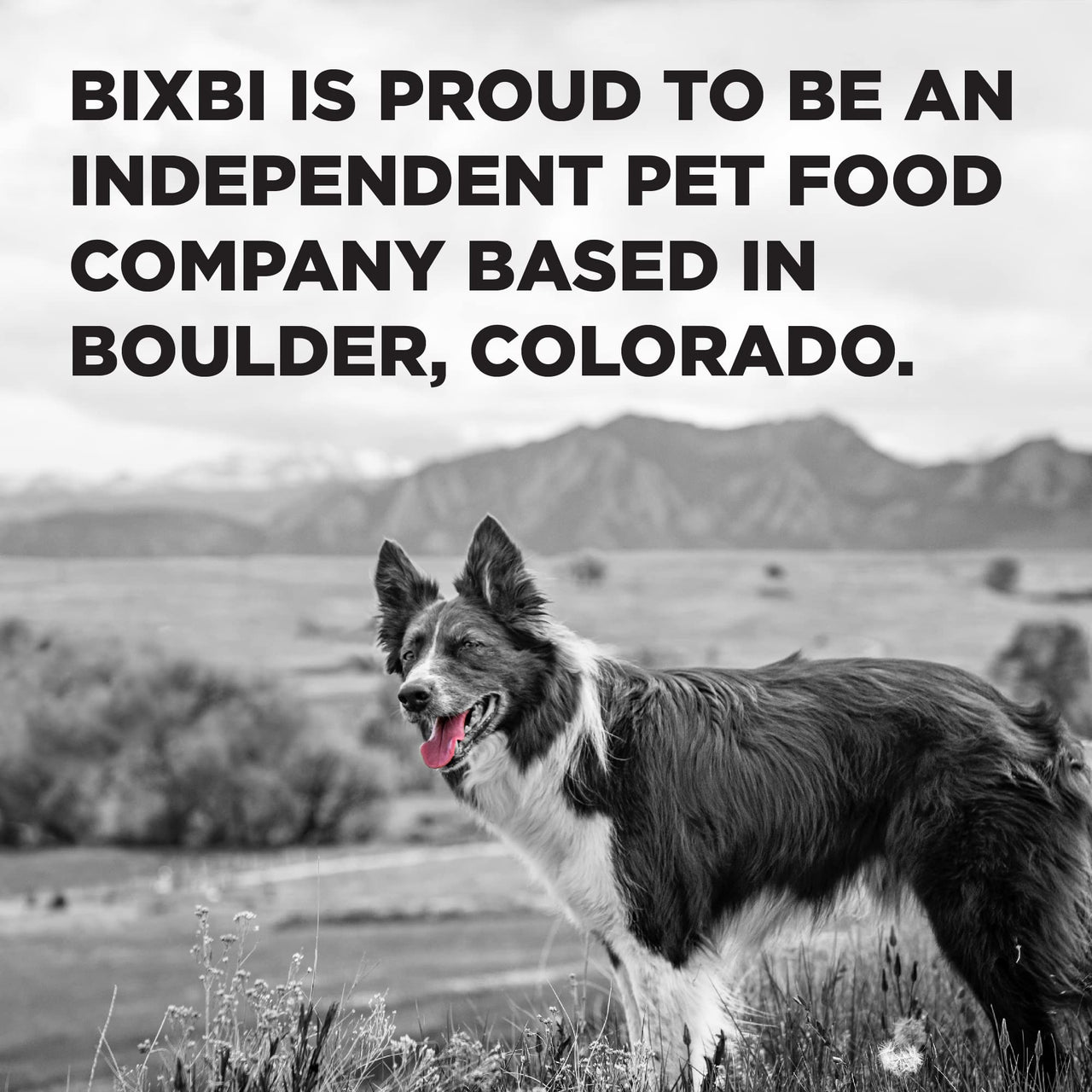BIXBI Liberty Freeze Dried Dog Food Topper + Dog Treat, Chicken and Salmon Recipe, 4.5 oz - 100% Meat and Organs, No Fillers - Pantry-Friendly Raw Treat or Food Topper - USA Made in Small Batches