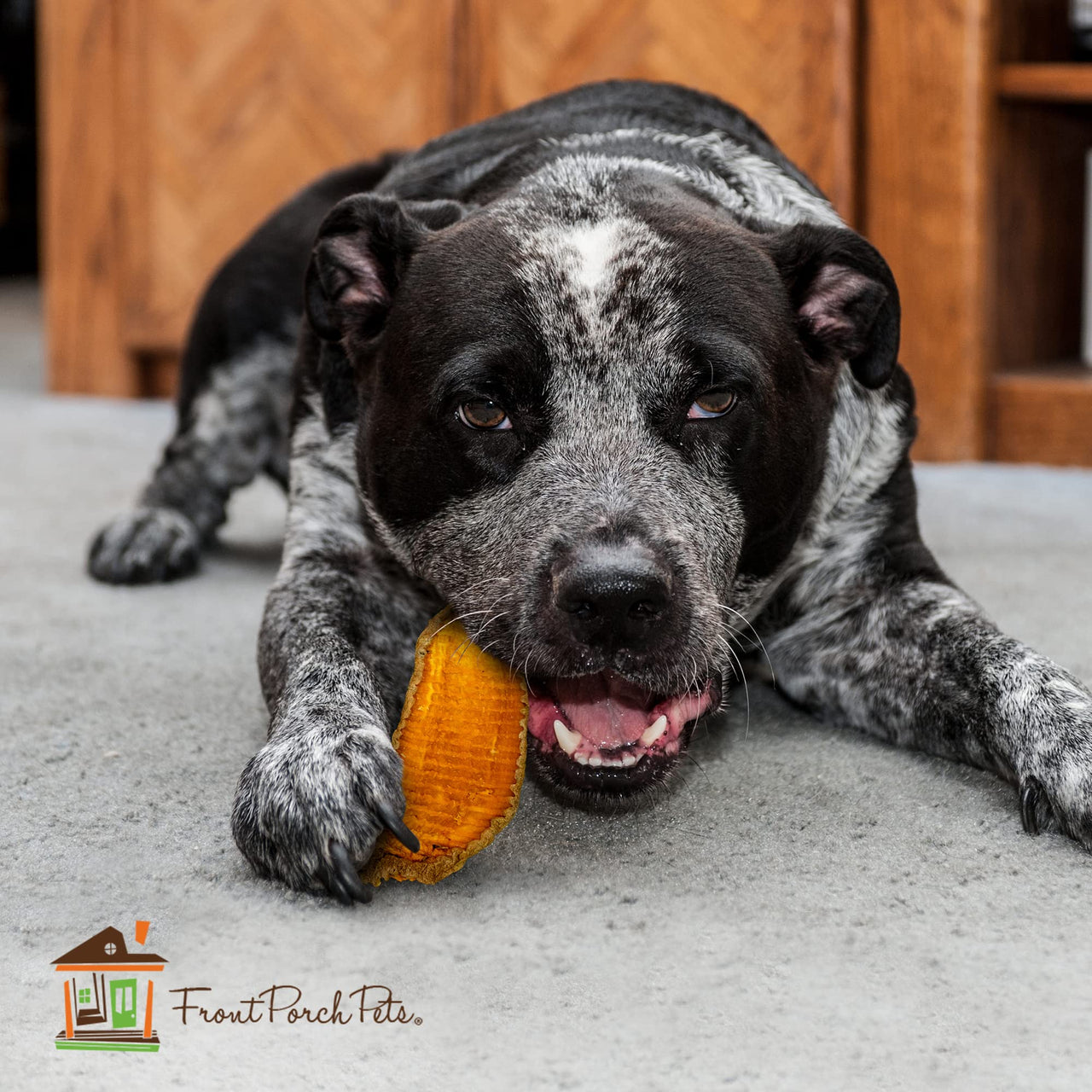 Sams Yams Sweet Potato Dog Treats, Healthy Dog Treats for Large Dogs - Sweet Potato Dog Treats Made in USA, High Fiber, Vegan Dental Chews - Big Boyz, Sweet Potato Dog Chewz, 15oz (Single Pack) 15 Ounce (Pack of 1)