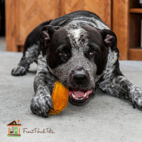 Sams Yams Sweet Potato Dog Treats, Healthy Dog Treats for Large Dogs - Sweet Potato Dog Treats Made in USA, High Fiber, Vegan Dental Chews - Big Boyz, Sweet Potato Dog Chewz, 15oz (Single Pack) 15 Ounce (Pack of 1)