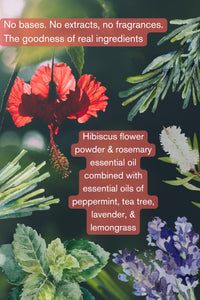 The Nature Mill Hibiscus Rosemary Hair Serum Oil. For stronger hair. 100ml (Coconut Peppermint)