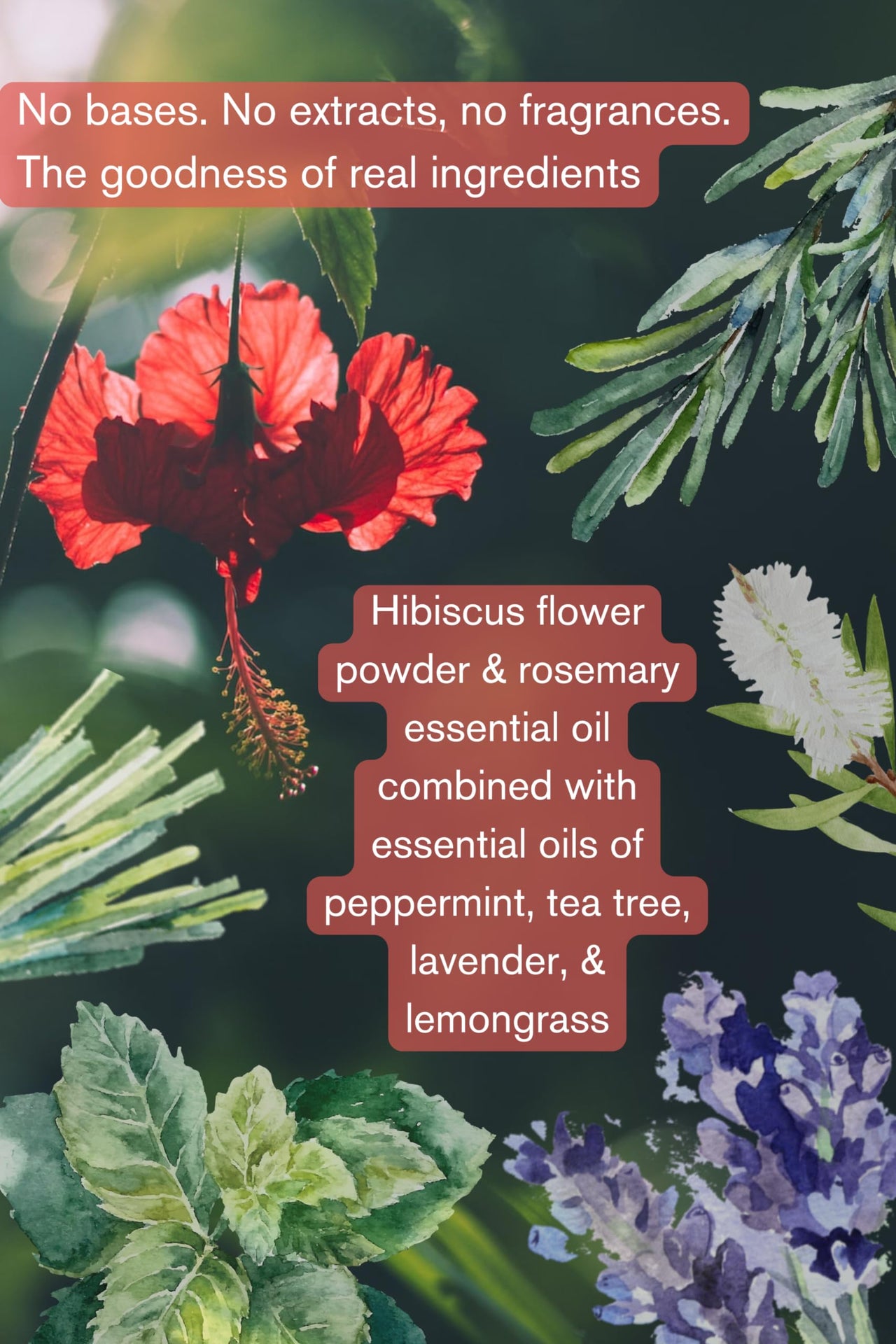 The Nature Mill Hibiscus Rosemary Hair Serum Oil. For stronger hair. 100ml (Almond Peppermint)